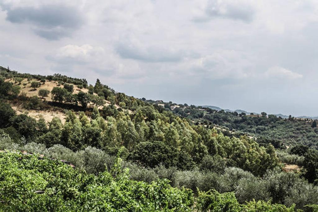 Agriturismo Miracco Atanasio Franco "Il Maniero" Santa Sofia d'Epiro Экстерьер фото