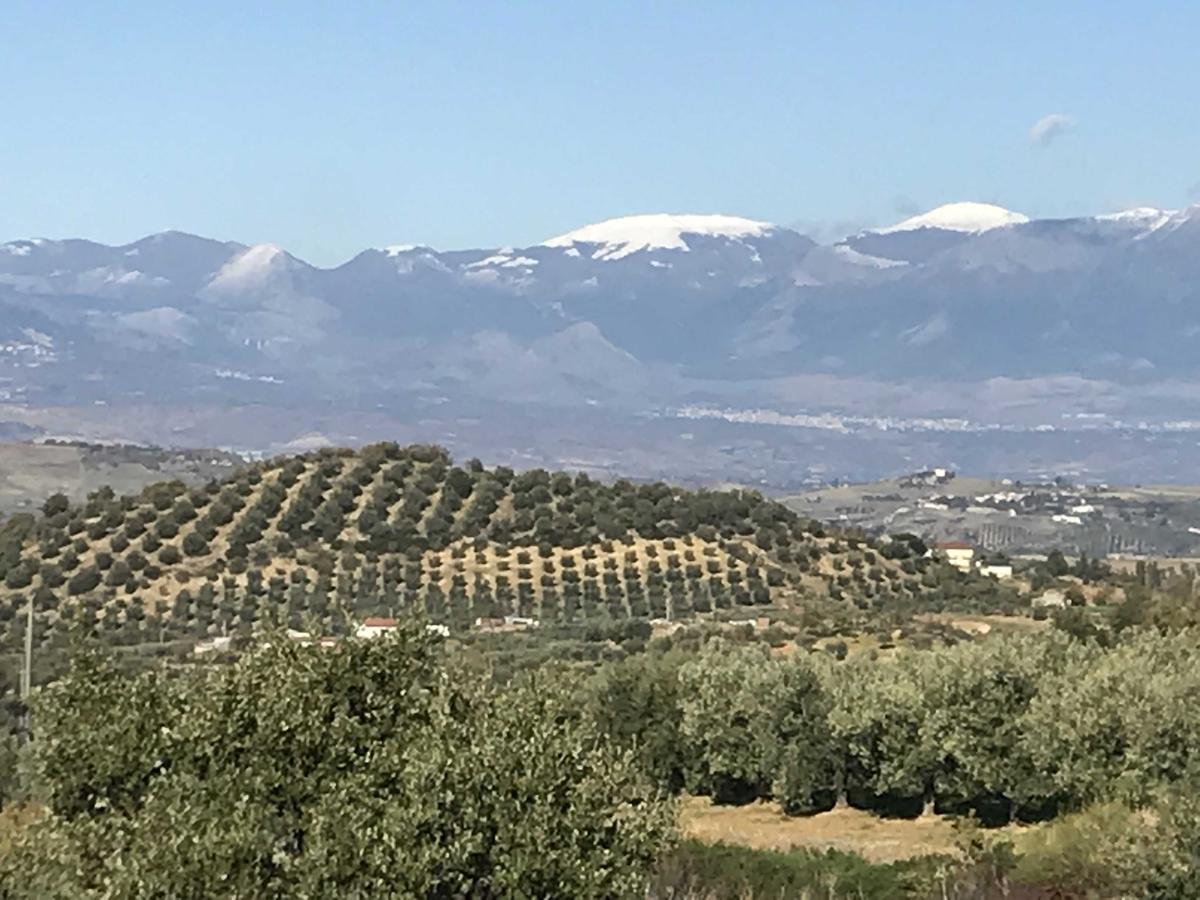 Agriturismo Miracco Atanasio Franco "Il Maniero" Santa Sofia d'Epiro Экстерьер фото